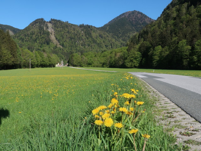 zwischen Lämmerbach und Hintersee