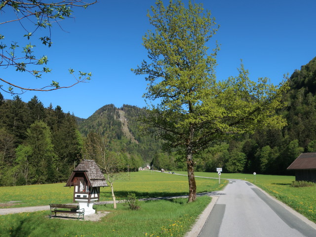 zwischen Lämmerbach und Hintersee