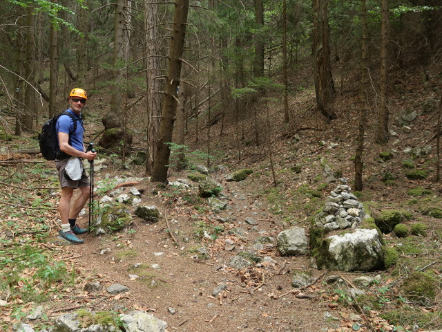 Waldegger Steig: Herbert