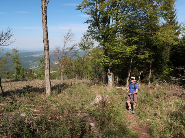Herbert zwischen Saugraben und Waldegger Haus