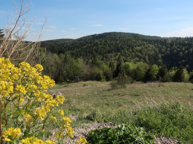 Bromberg vom Waldegger Haus aus