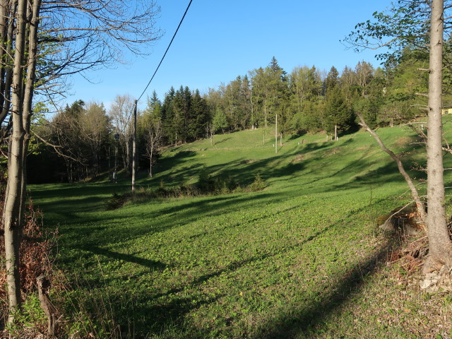 zwischen Aussichtsturm Hohe Wand und Naturfreundesteig Kleine Klause