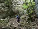 Herbert zwischen Dürnbachtal und Waldegger Steig