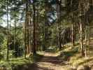 zwischen Naturfreundesteig Kleine Klause und Dürnbachtal