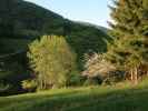 zwischen Naturfreundesteig Kleine Klause und Dürnbachtal