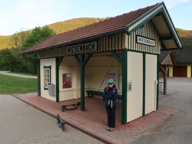 Sabine im Bahnhof Miesenbach-Waidmannsfeld, 399 m