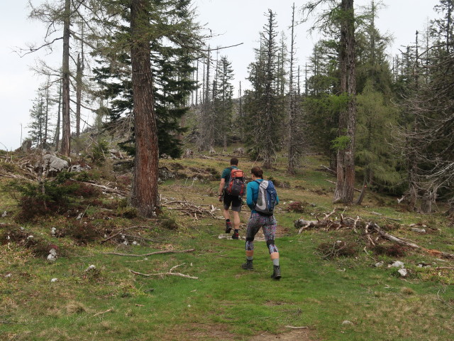 Ronald und Ursa zwischen Seegraben und Weierbaueralm