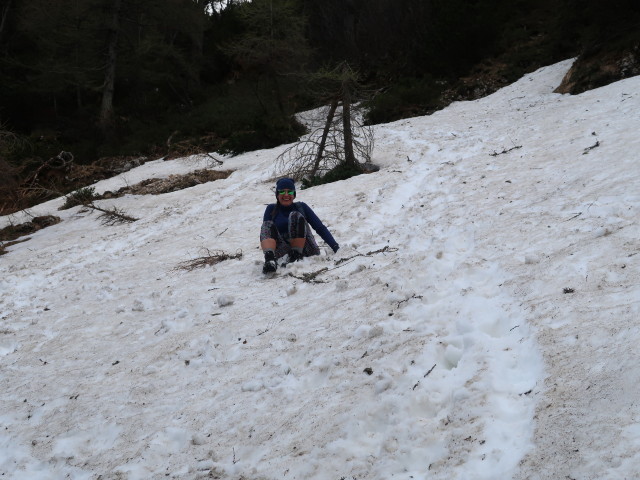 Ursa zwischen Stubwieswipfel und Stubwiesalm