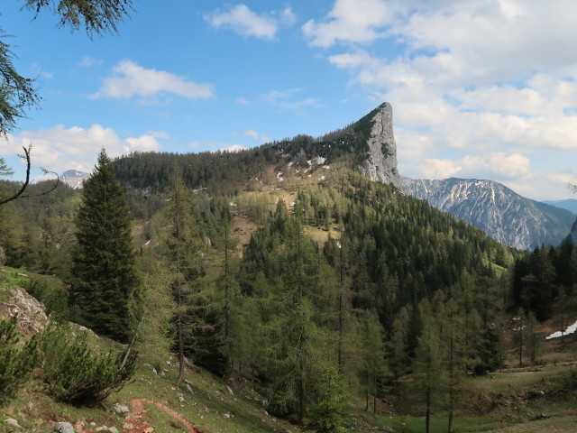 Stubwieswipfel vom Hals aus