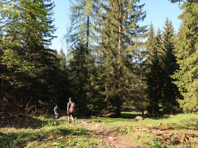 Ursa und Ronald zwischen Tommerlalm und Gasthaus Tommerl