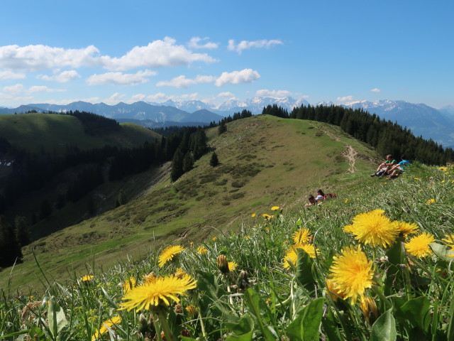 von der Hohen Kugel Richtung Süden (21. Mai)