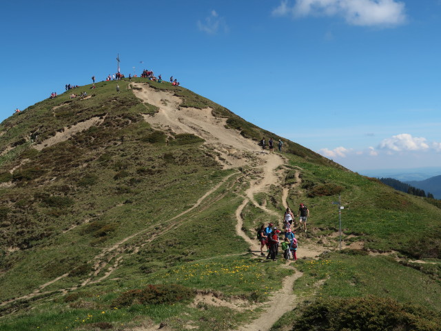 zwischen Hoher Kugel und Treietpass (21. Mai)