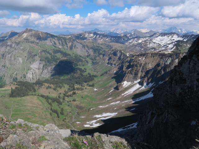 Mellenalpe (21. Mai)