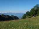 zwischen Millrütte und Götzner Haus (21. Mai)