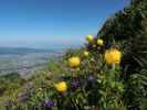 zwischen Götzner Haus und Hoher Kugel (21. Mai)