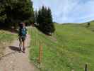 Ronald zwischen Vorderer Ugaalpe und Gasthof Walisgaden (22. Mai)