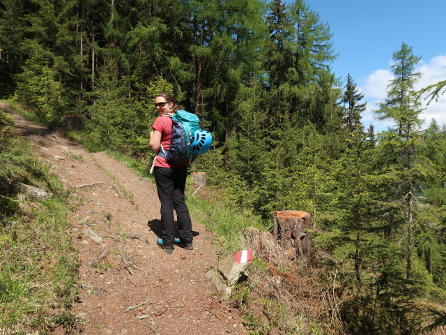 Sabine zwischen Schwindelbrücke und Stabelealm