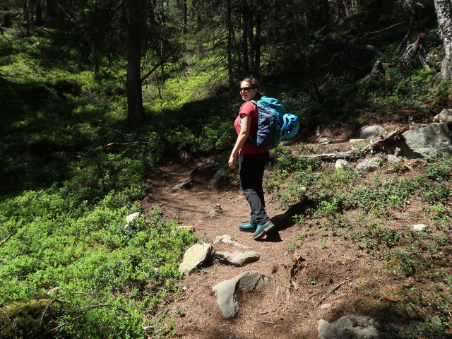 Sabine zwischen Schwindelbrücke und Stabelealm