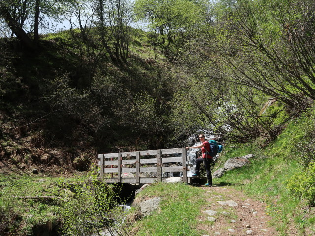 Sabine zwischen Schwindelbrücke und Stabelealm