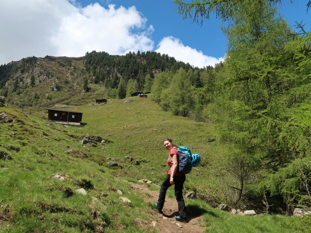 Sabine auf der Stabelealm