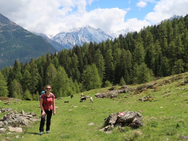 Sabine auf der Stabelealm
