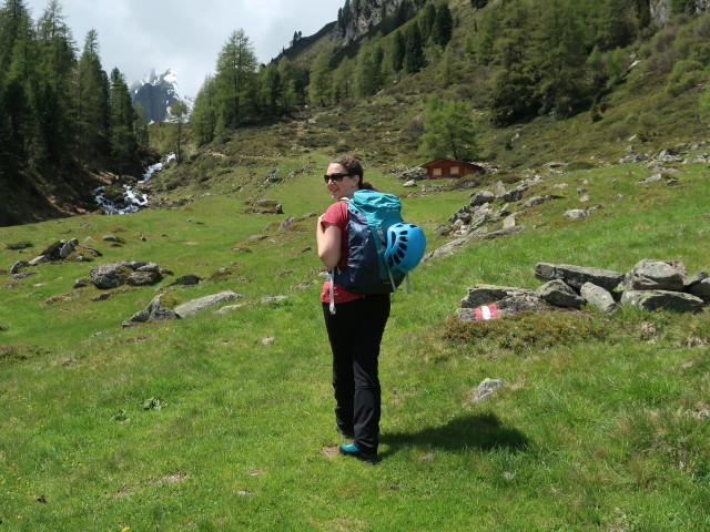 Sabine auf der Stabelealm