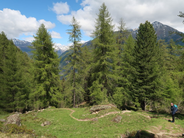 Sabine zwischen Stabelealm und Schwindelbrücke