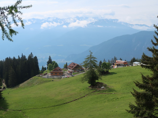 Untermarkter Alm, 1.491 m