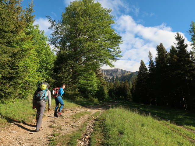 Alexander und Christoph zwischen Preiner Gscheid und Gflötzhütte