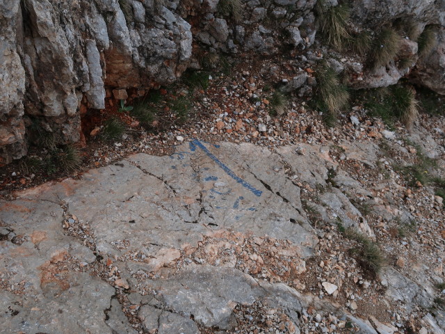 Königschusswand-Klettersteig: Malersteig