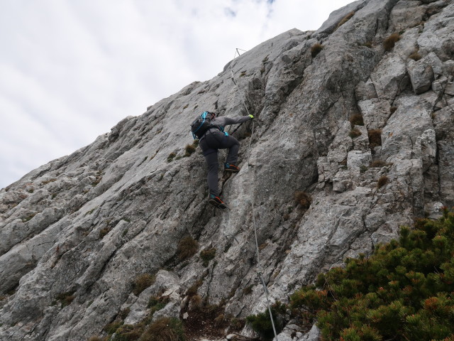 Königschusswand-Klettersteig: Alexander im Ausstieg