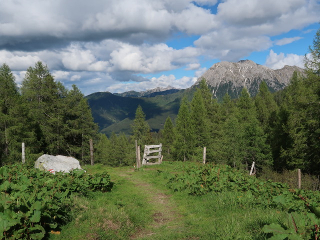 zwischen Penkkopf und Kleinarler Hütte (11. Juni)