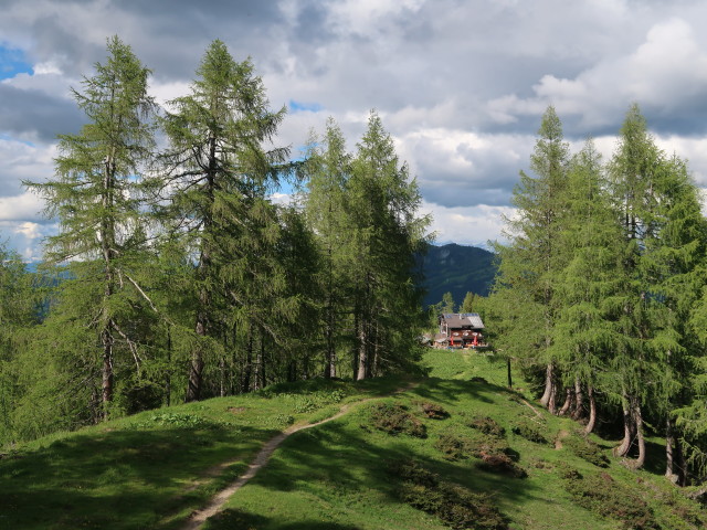 zwischen Penkkopf und Kleinarler Hütte (11. Juni)