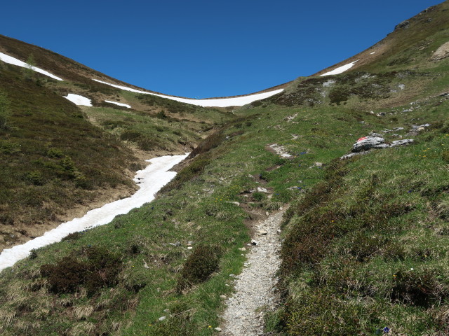 zwischen Filzmoossattel und Draugsteintörl (12. Juni)