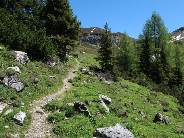 zwischen Filzmoossattel und Draugsteintörl (12. Juni)