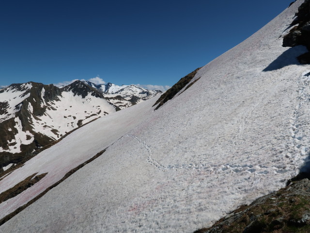 zwischen Riffel und Glingspitze (12. Juni)