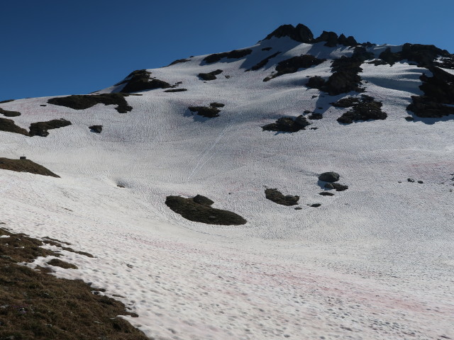 zwischen Glingspitze und Haselstein (12. Juni)