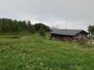 Obergaßalm, 1.553 m (11. Juni)