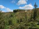 zwischen Penkkopf und Kleinarler Hütte (11. Juni)