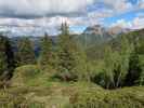 zwischen Penkkopf und Kleinarler Hütte (11. Juni)