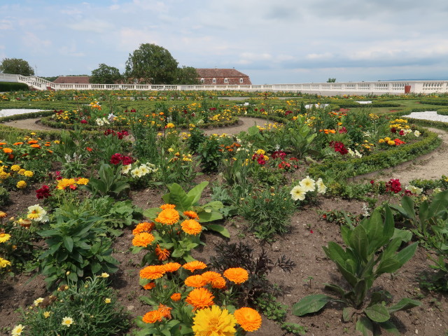 Schloss Hof: Terrasse 3