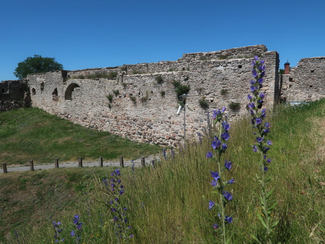 Haapsalu linnus (23. Juni)