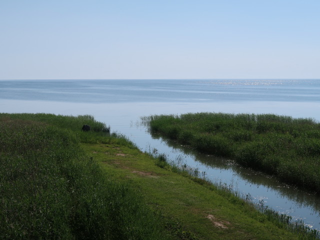 Peipsi järv vom Kolkja Vaatetorn aus (26. Juni)