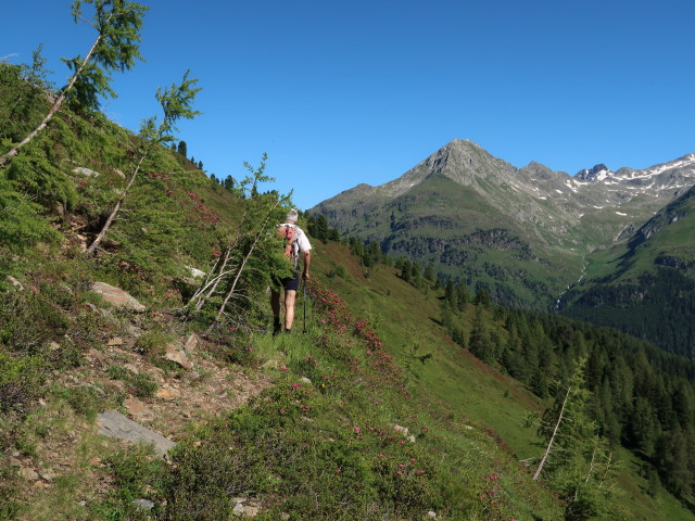 Josef zwischen Blindisalm und Kahorn