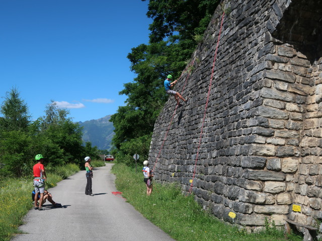 Zakaria, Ursa, Josef und Frank im Klettergarten Kaponig, 1.050 m
