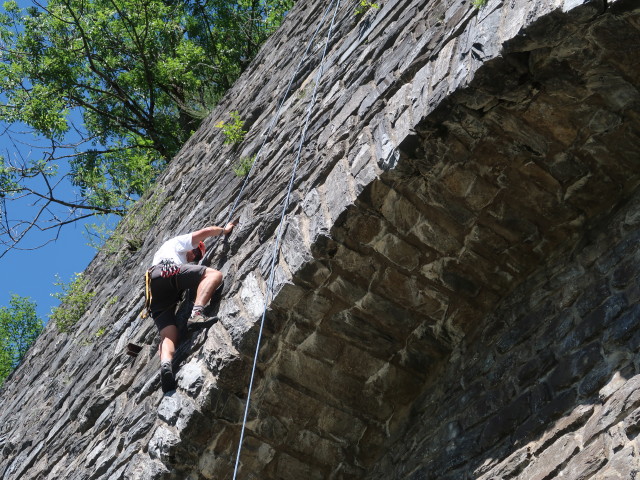 Ich im Klettergarten Kaponig, 1.050 m