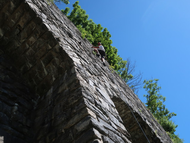 Ich im Klettergarten Kaponig, 1.050 m