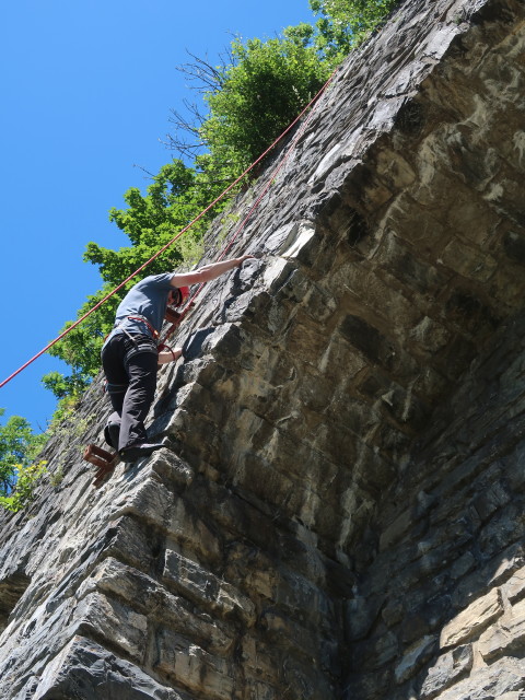 Werner im Klettergarten Kaponig, 1.050 m