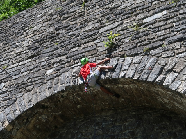 Zakaria im Klettergarten Kaponig, 1.050 m