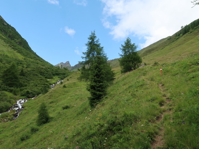 Rudigierweg zwischen Riepasee und Ulmich (21. Juli)